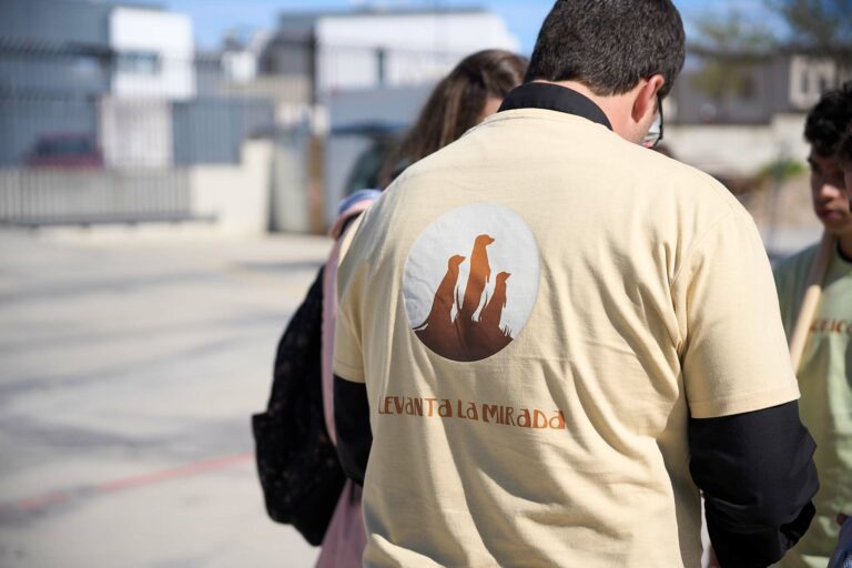 suricatas010